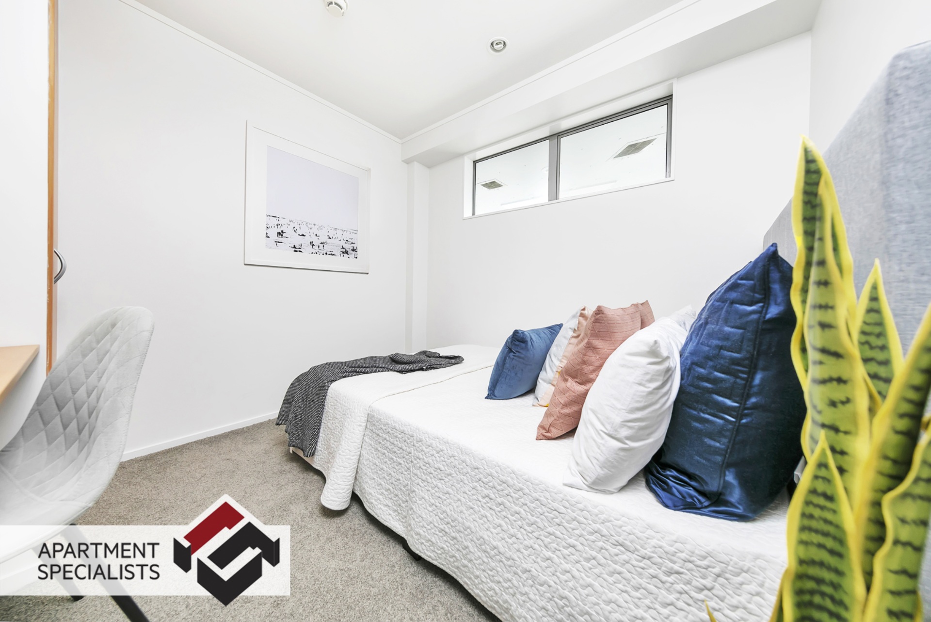 9 | 189 Hobson Street, City Centre | Apartment Specialists