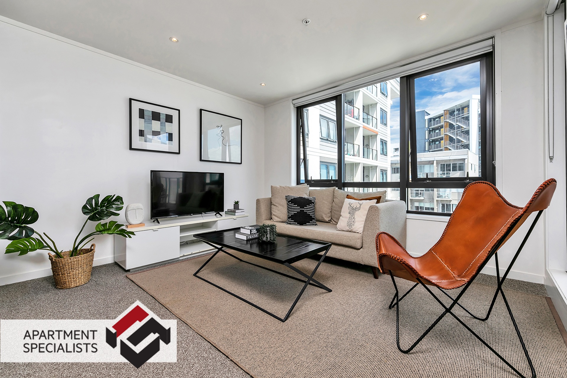 3 | 145 Nelson Street, City Centre | Apartment Specialists