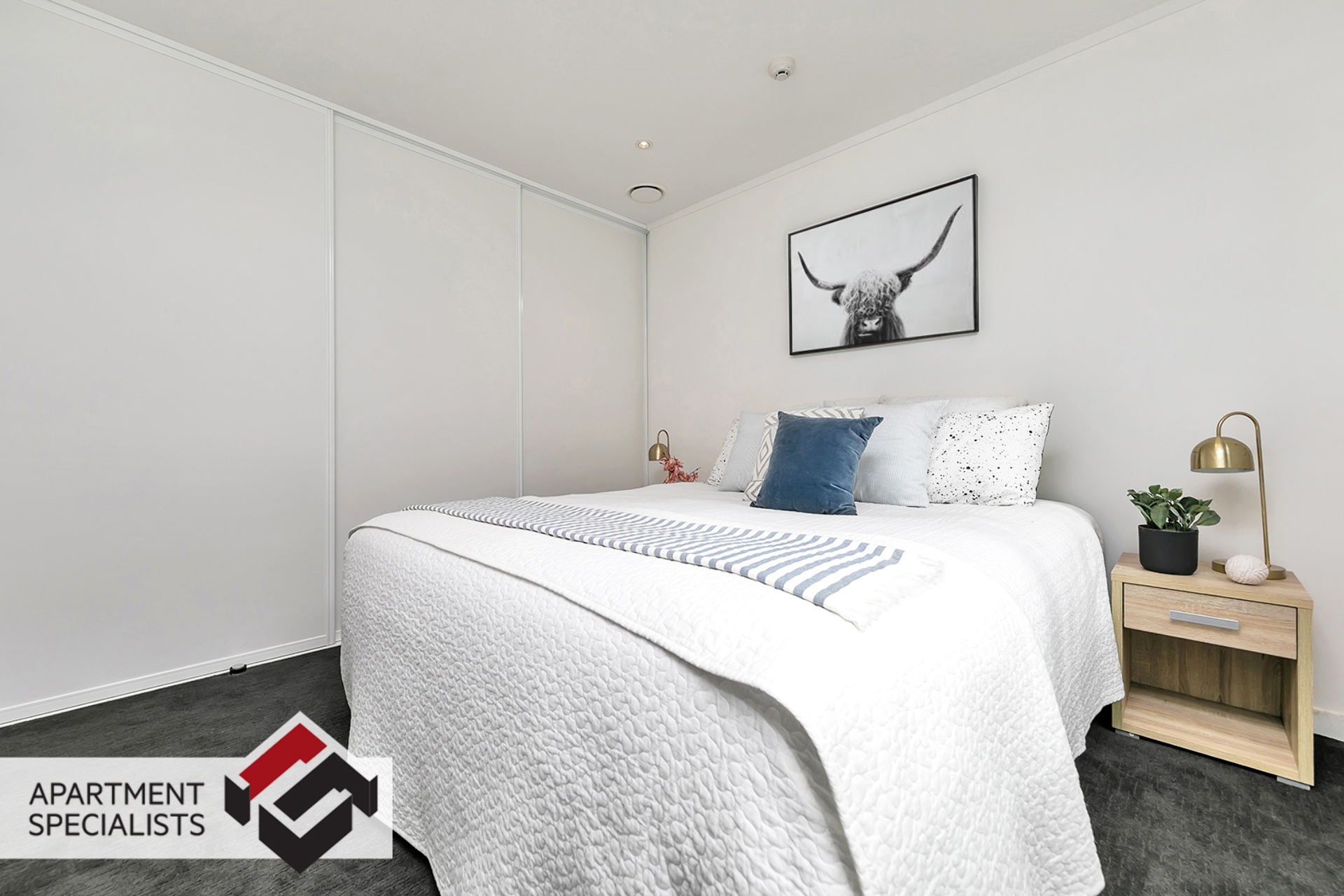 7 | 145 Nelson Street, City Centre | Apartment Specialists