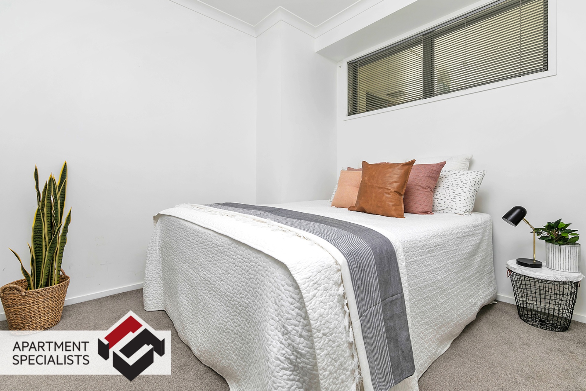 5 | 149 Nelson Street, City Centre | Apartment Specialists