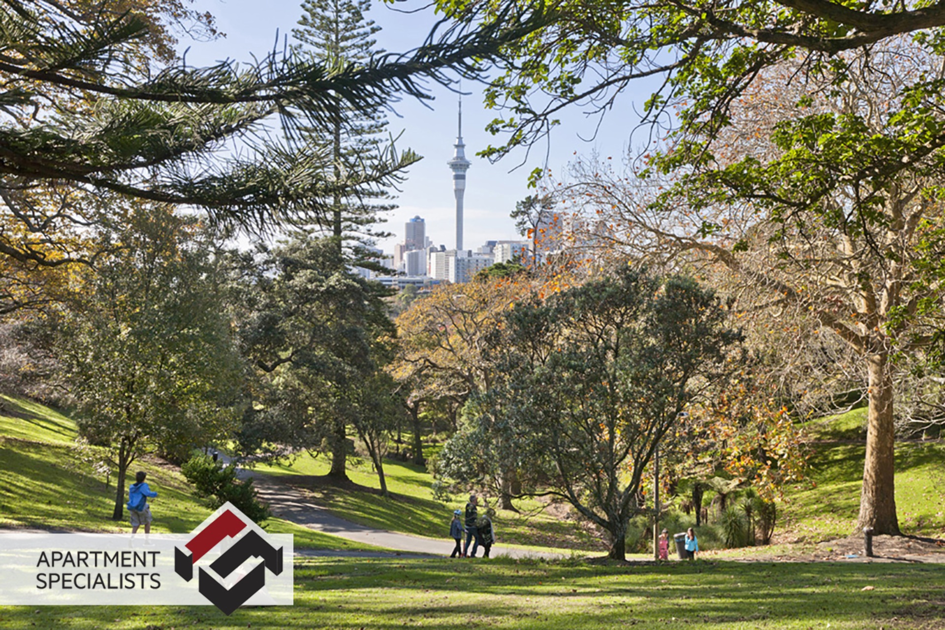 38 Douglas Street, Ponsonby | Apartment Specialists Auckland 24 | 38 Douglas Street, Ponsonby | Apartment Specialists