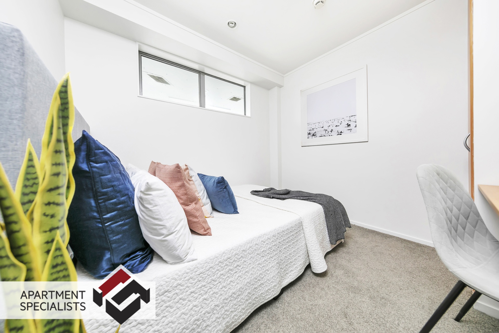 6 | 189 Hobson Street, City Centre | Apartment Specialists
