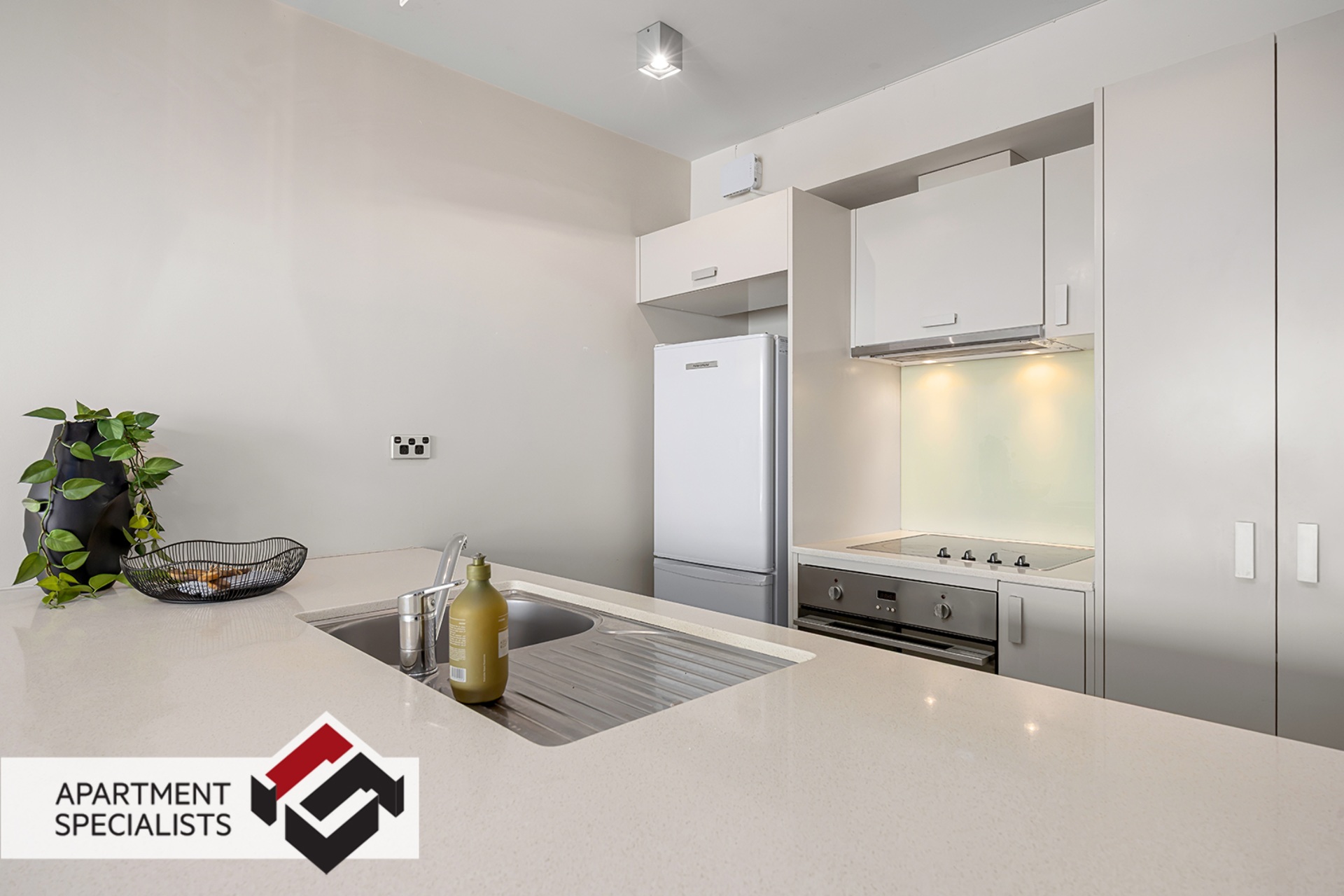 16 Chapman Street, Grey Lynn | Apartment Specialists Auckland 12 | 16 Chapman Street, Grey Lynn | Apartment Specialists