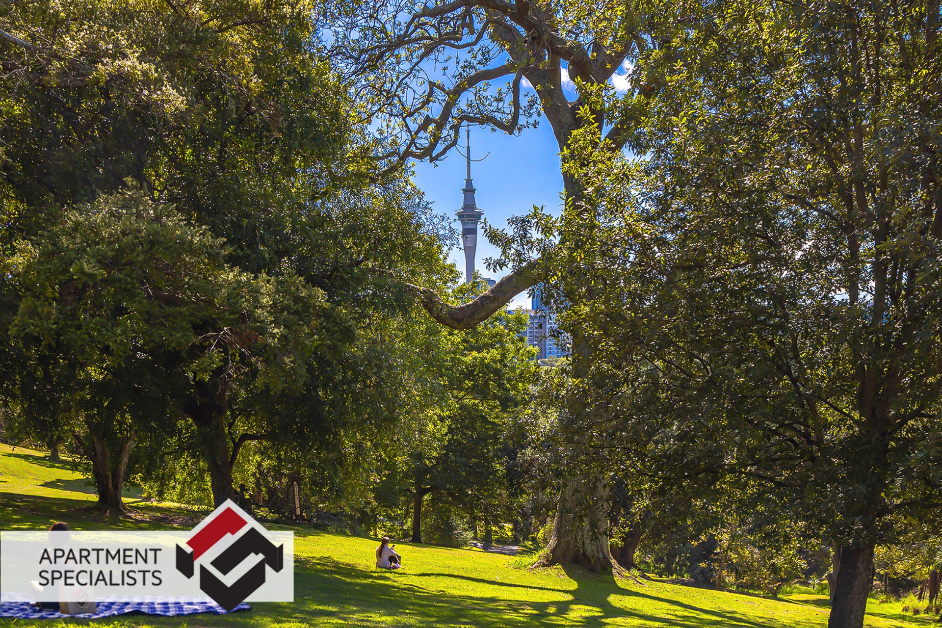 16 Chapman Street, Grey Lynn | Apartment Specialists Auckland 23 | 16 Chapman Street, Grey Lynn | Apartment Specialists