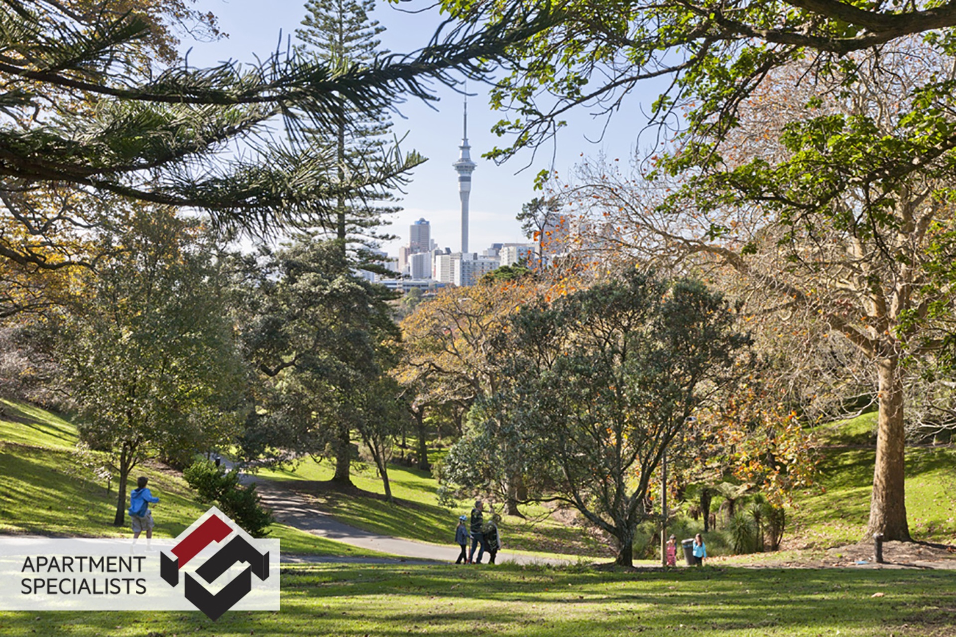 39 Mackelvie, Grey Lynn | Apartment Specialists Auckland 17 | 39 Mackelvie, Grey Lynn | Apartment Specialists