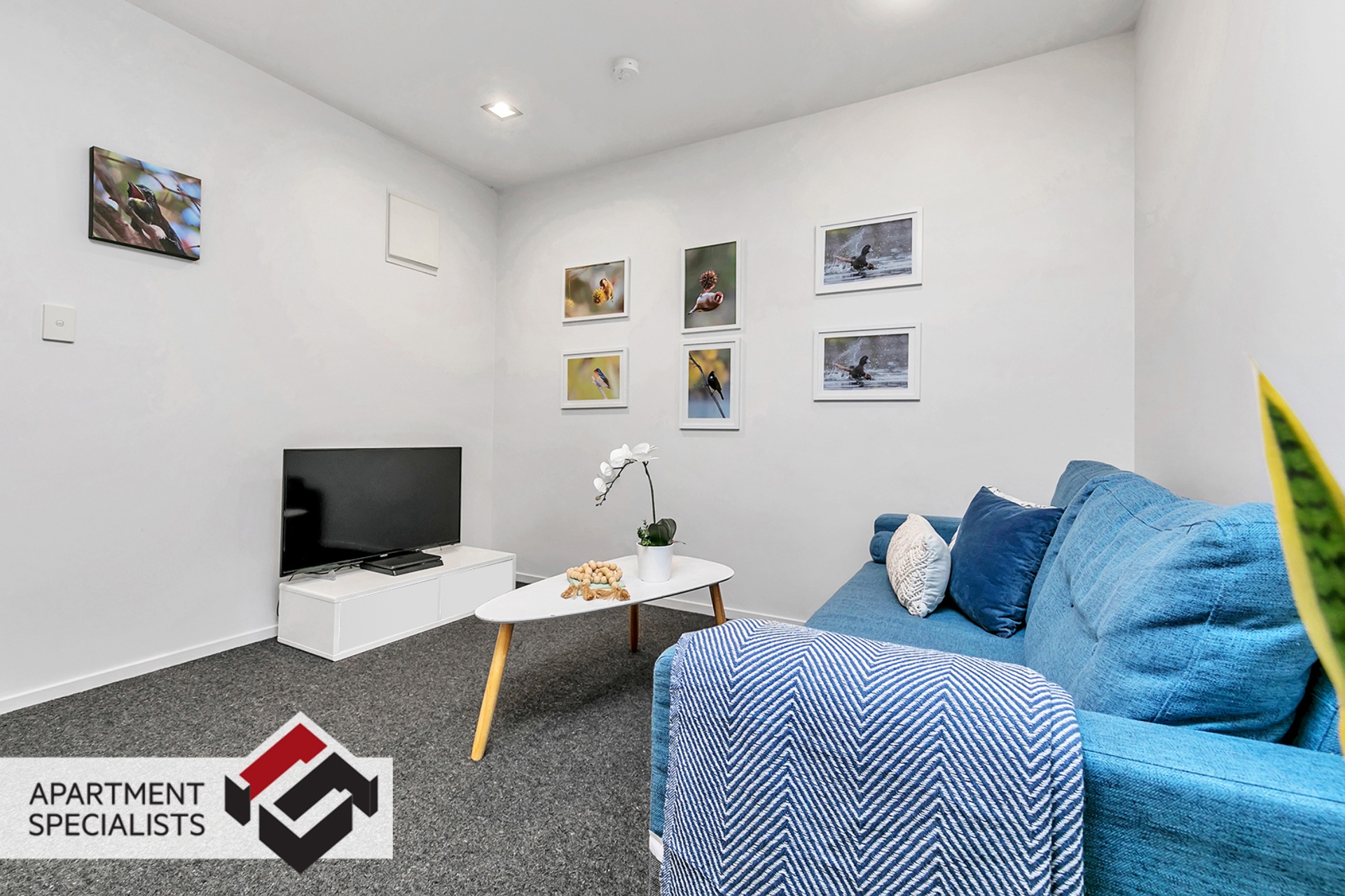 4 | 30 Liverpool Street, City Centre | Apartment Specialists